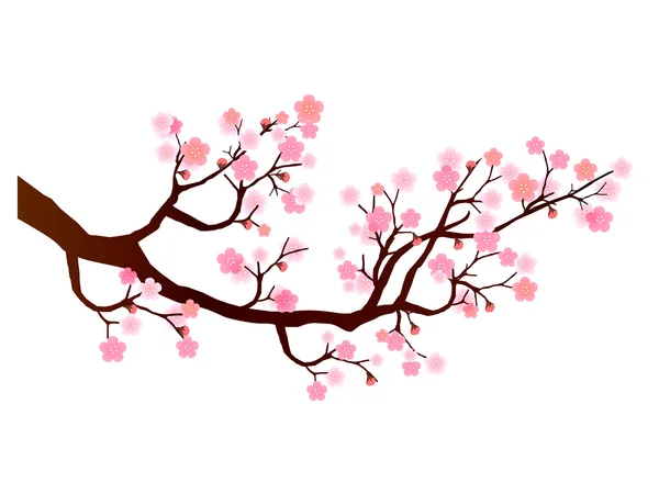 Fleur de prunier icône printemps — Image vectorielle
